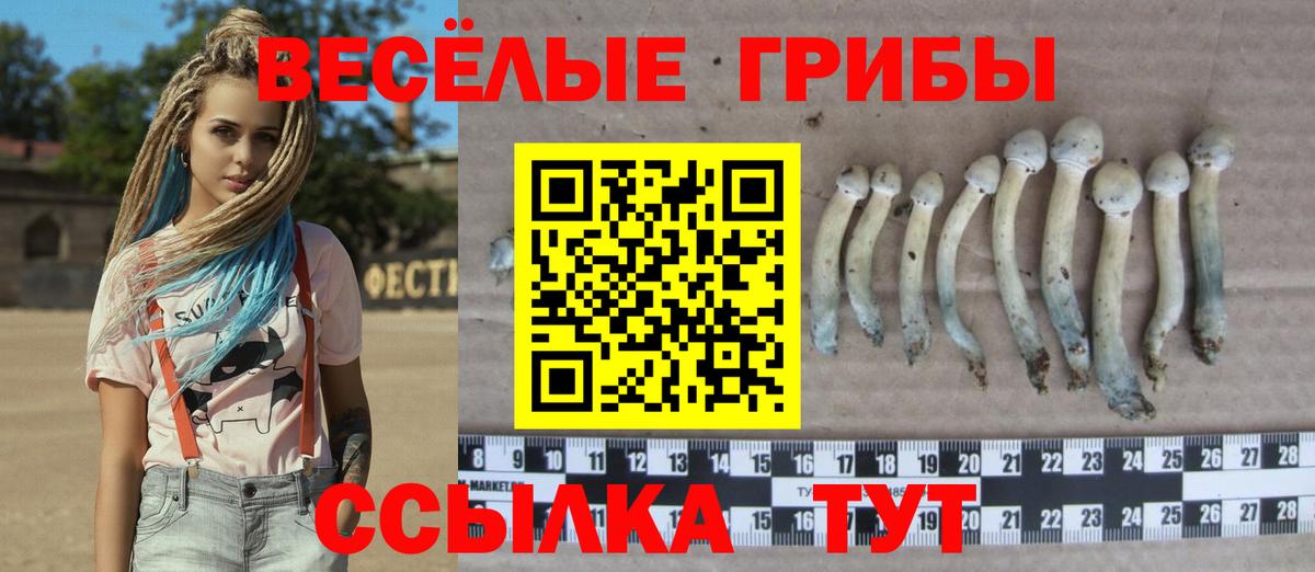 Галлюциногенные грибы GOLDEN TEACHER Донской