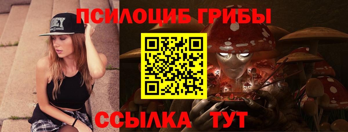 Донской  Галлюциногенные грибы GOLDEN TEACHER  Вход с VPN 